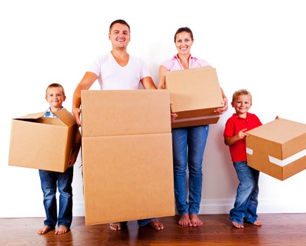 Office storage support for Hollandpark businesses with boxes and equipment