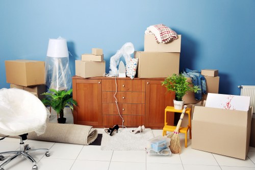Boxes and household items organized for Hollandpark storage