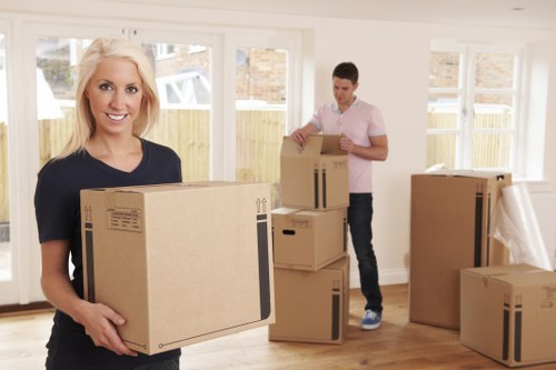 Packed boxes and furniture prepared for local storage in Hollandpark