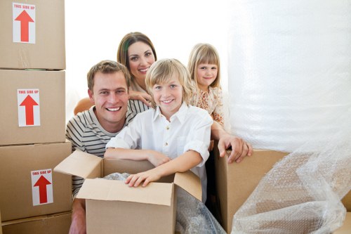 Storage-ready packing for residential and commercial items in Hollandpark