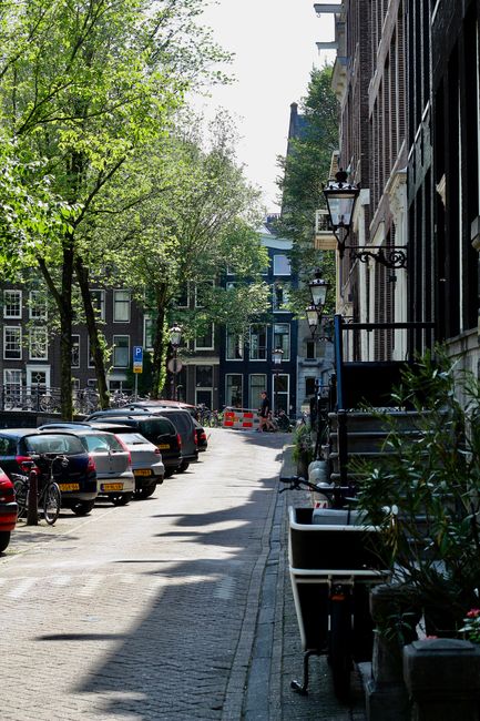 View of a residential street on Campden Hill Road, featuring parked cars along the cobblestone pavement and a row of multi-storey buildings with black facades and outdoor wall-mounted lanterns. Green