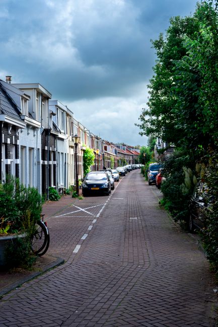 A scenic view of a residential area in Holland Park featuring a traditional brick house with a dark sloped roof, multiple windows, and a small front porch. The house is situated next to a narrow canal