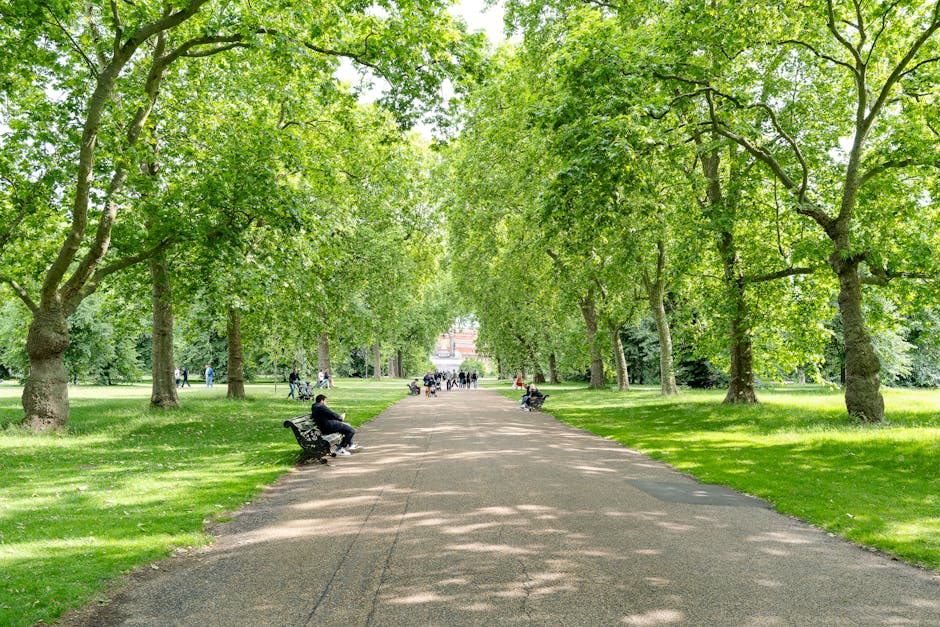 In a suburban park setting, a white wooden bench is positioned on a paved pathway surrounded by lush green trees and bushes. A woman dressed in a blue top and shorts is sitting on the bench, reading o